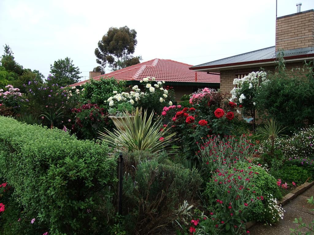 Admurraya House Bed & Breakfast Rutherglen Eksteriør billede