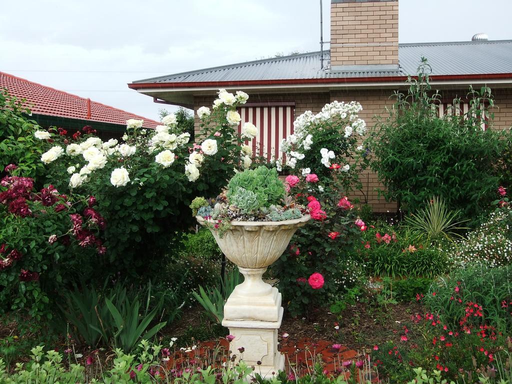 Admurraya House Bed & Breakfast Rutherglen Eksteriør billede